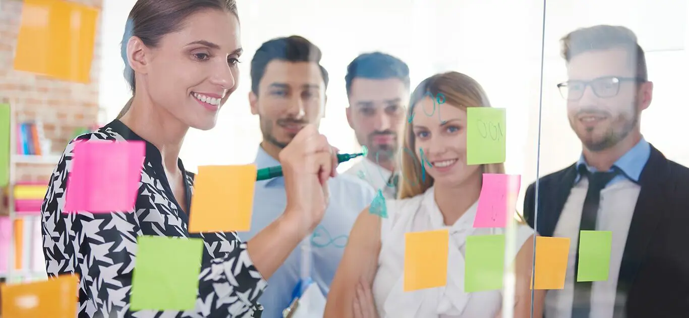 manager des organisations manager des organisations