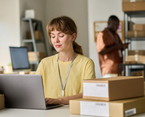 le metier responsable e-commerce